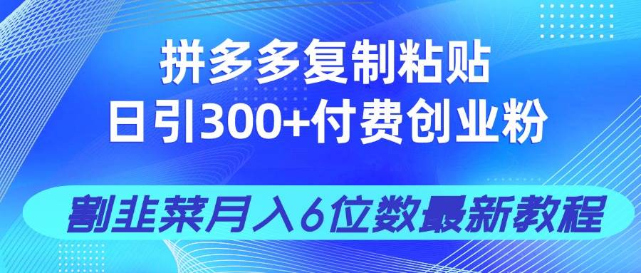 (4.3)拼多多复制粘贴日引300+付费创业粉，割韭菜月入6位数最新教程！